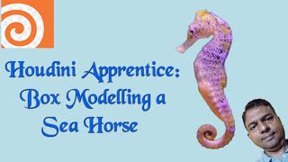 Box Modeling a Sea Horse in Houdini Apprentice #houdini #houdinitutorial #modeling #seahorse