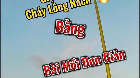 Tính Ghé Câu Chơi Ai Ngờ Giật Cá Cháy Lông Nách || Tilapia Fishing || Fishing bait