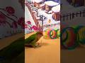 Bird Training:smart lovebird parrot l smart little cute parrot #training#smartparrot#cute