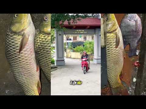 Câu cá thiên nhiên - Tập 14