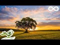 Calm • Relaxing Piano Music & Bird Sounds | Peaceful Sleep Music