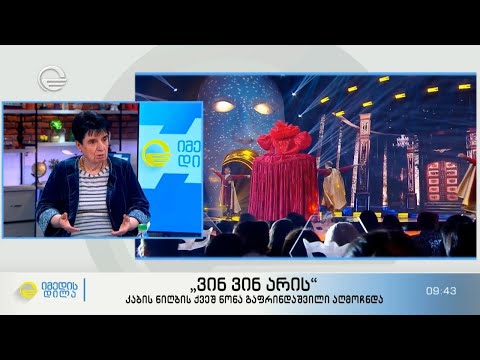 ნონა გაფრინდაშვილი მეგა შოუში „ვინ ვინ არის“ მონაწილეობის შესახებ