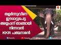 പാപ്പാന്മാരെ പറ്റിക്കലാണ് ഇവന്റെ ഹോബി| KKR പത്മനാഭൻ #2 | KKR Padmanabhan |E for Elephant |Kairali TV