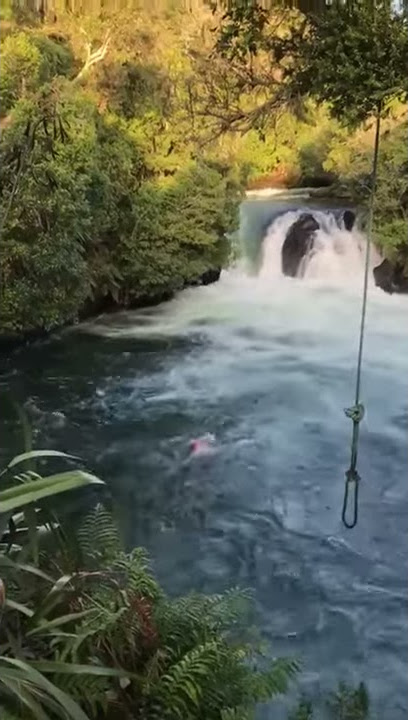 Okere Falls tree jump