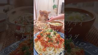 子犬と主婦の日常vlogを1分に縮めてみた⏰ #主婦 #暮らし #生後9ヶ月 #柴犬