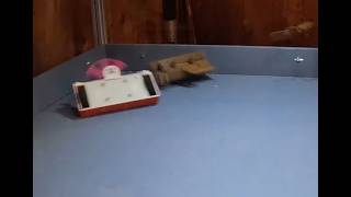 Is an enclosure necessary for a Plastic Combat Robot
