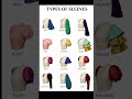 12 Types of Sleeves Every Girl Should Know 👗 | Fashion Guide 2026