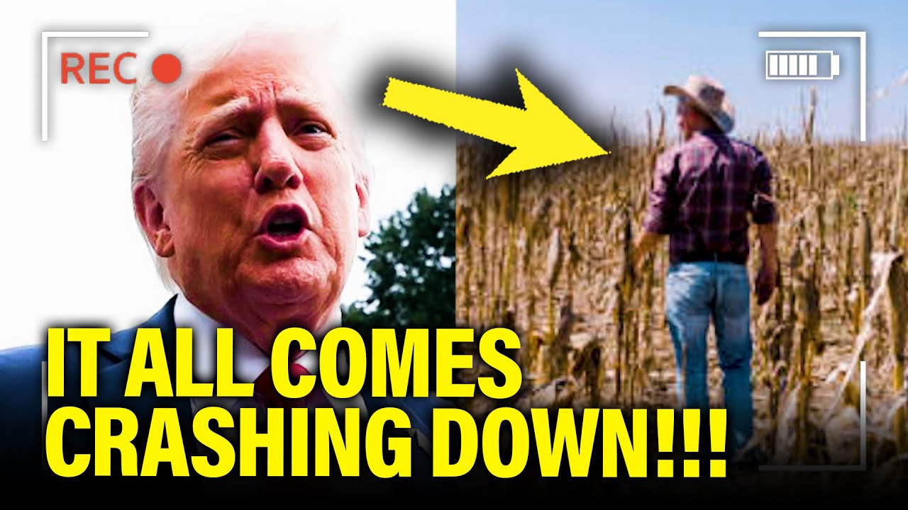 Trump WRECKS IT ALL as Global Scheme QUICKLY COLLAPSES