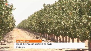 AgDay Minute 11/11/24