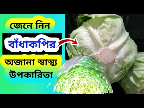 জেনে নিন বাঁধাকপির স্বাস্থ্য উপকারিতা ও পুষ্টিগুণ | বাঁধাকপি খেলে কি হয়| Health Benefits of Cabbage