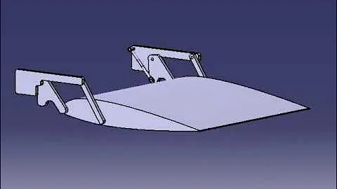 Flap kinematics