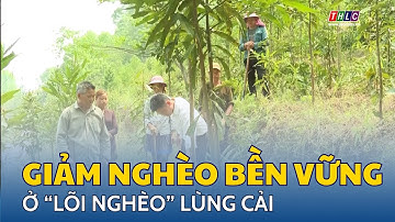 Giảm nghèo bền vững ở “lõi nghèo” Lùng Cải | THLC