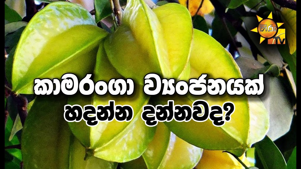 camera iphone 8 plus apk කාමරංගා ව්යංජනයක් හදන්න දන්නවද?