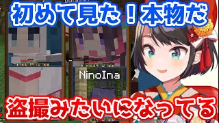 【うさ建夏祭り】本物のグラちゃんやイナちゃんを見て興奮して盗撮するスバル【ホロライブ切り抜き】