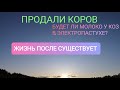 КАК ПОВЫСИТЬ УДОИ У КОЗ В ЭЛЕКТРОПАСТУХЕ!