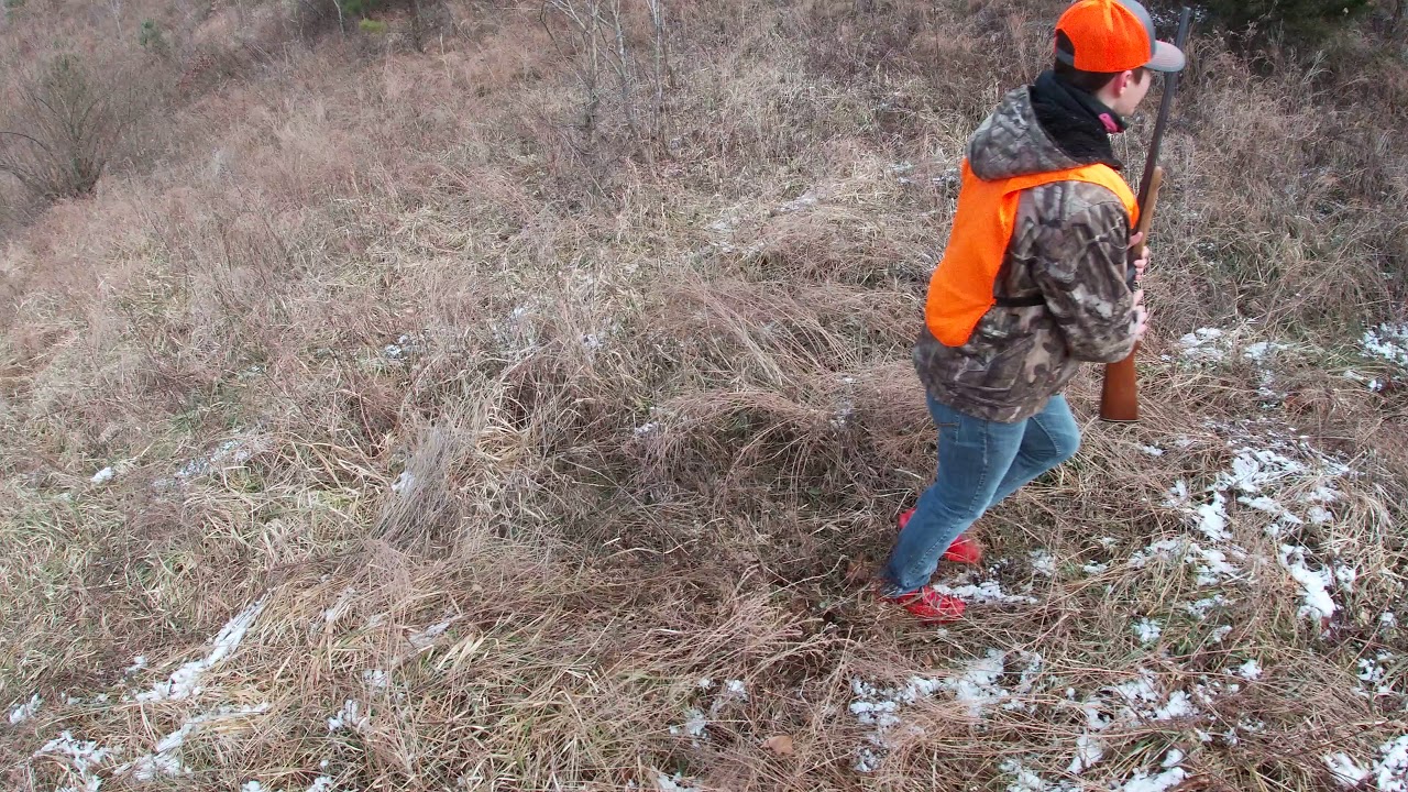 rabbit hunting with dogs 2018 with few friends YouTube