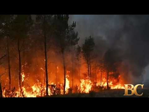 Hundreds of thousands evacuated in France and Spain as wildfires rage on