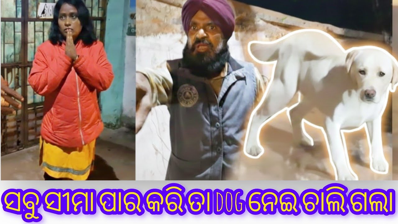 Labrador ର ଜୀବନ ବଞ୍ଚାଇ ଏମିତି ଫଳ ମିଳିବ ଭାବି ନଥିଲି 😞 annimal care foundation 