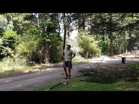 STIHL HTA 85 Battery Pole saw pruning overhanging branches on the roadside.