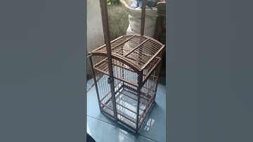 Sangkar Jebakan burung efektif