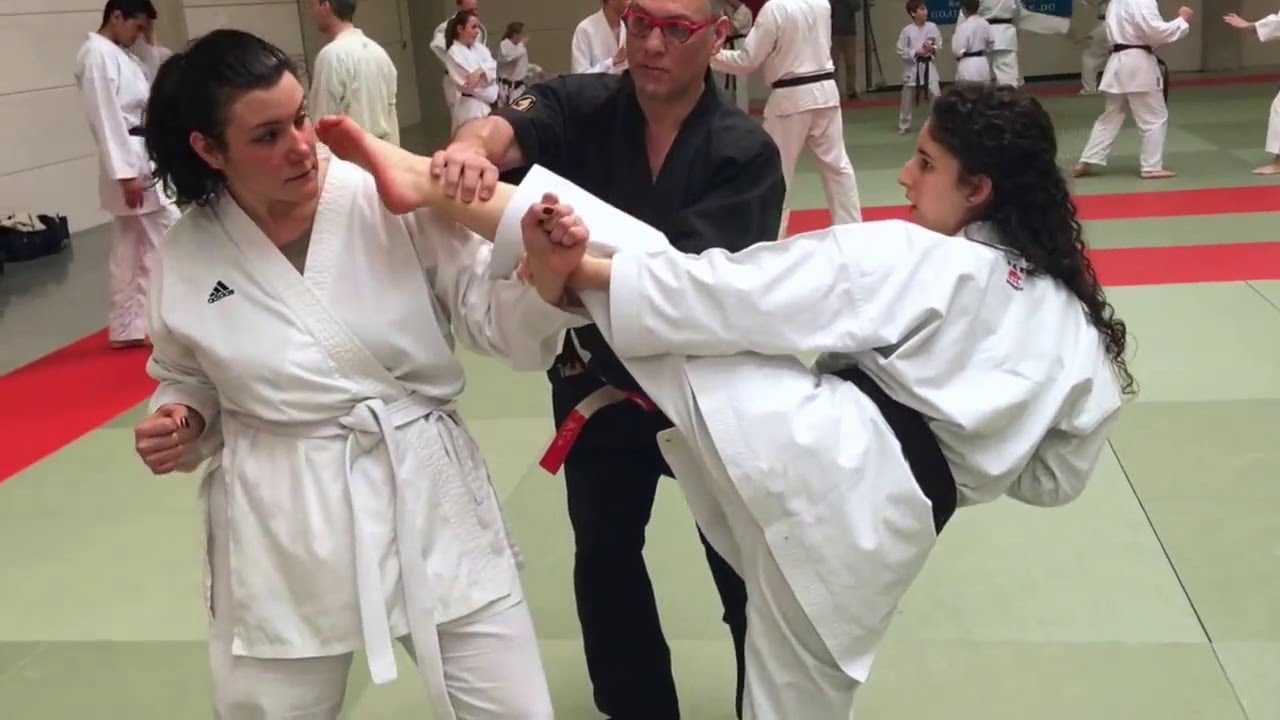 Shihan Sensei Ali Azizi 6 dan et Shihan Sensei JKy Debatty 7°dan