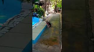 ХОСТЕЛ В КАРТАХЕНЕ 🇨🇴 Колумбия 👁️TRIP