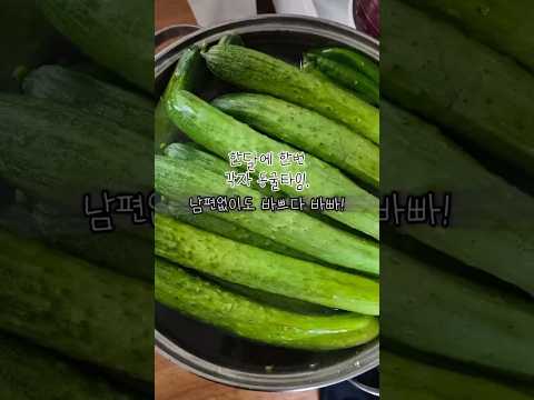 이번주는 각자 동굴타임!#신혼부부​ #신혼부부집밥​ #요리브이로그​ #점심​ #저녁​ #도시락​ #도시락추천​ #레시피 #꿀팁 #일상브이로그 #주말브이로그 #바쁨 #오이지 #찜닭