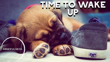 How to Wake up - Alan Watts - Mindfulness