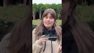 How reforestation is different than ecosystem restoration
