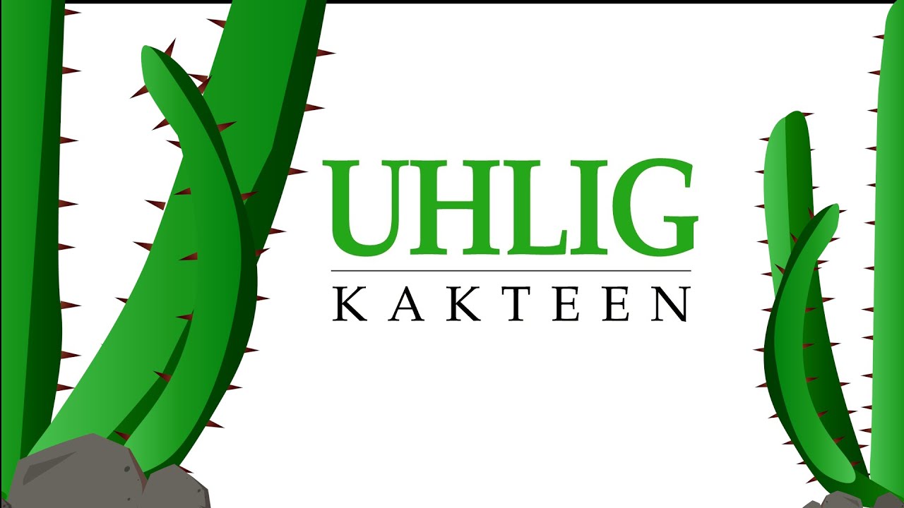 Uhlig Kakteen - Bunte Kakteen und Sukkulenten