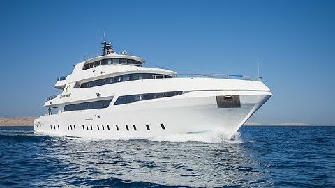 Liveaboard Red sea, Fury Shoals Sea Serpent D.C. Oktopusas 2025.11