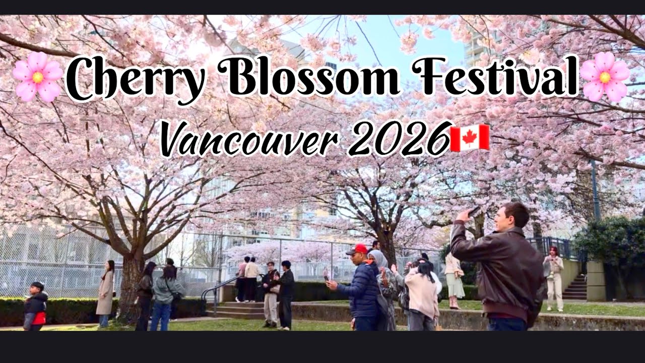 Cherry Blossom Festival 2026 🌸 Vancouver🇨🇦 - YouTube