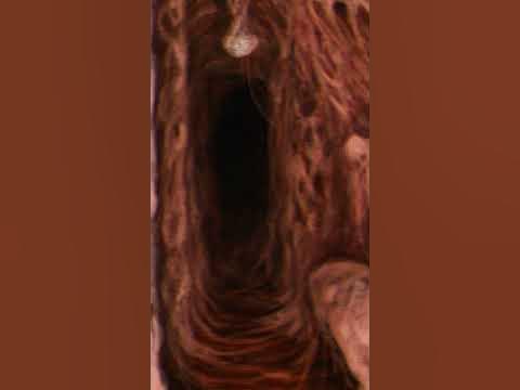 Кто такой Монстр Крейгслист #треворхендерсон - YouTube