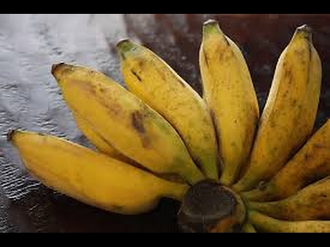 Deep Fried Banana with Bread Crumb, Banana, fried Banana, Street Food - ចេកចៀនជាមួយកំទេចនំប័ង