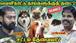 Dog breeds getting banned in India | இனி இந்த நாய்கள் இந்தியால இருக்காது | Paari Saalan and  Varun