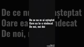 Theo Rose - De Ce (versuri/lyrics)