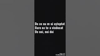 Theo Rose - De Ce (versuri/lyrics)