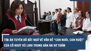 Tòa án tuyên bố bất ngờ về vấn đề “con nuôi, con ruột” của cố NSƯT Vũ Linh trong bản án sơ thẩm