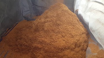 Coco peat and Coir making machine made in sri lanka/ coconut husk peat cutter machine