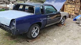 1981 Oldsmobile Cutlass For Sale
