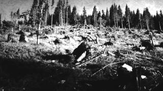 Ajilvsga - Empty The Ashes