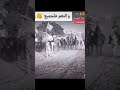 براقع الخيل      تيكتوك 