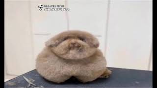 Ебучий Говорит О 250 000 Тонн Тротила