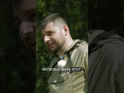 Как защититься от укусов клещей?