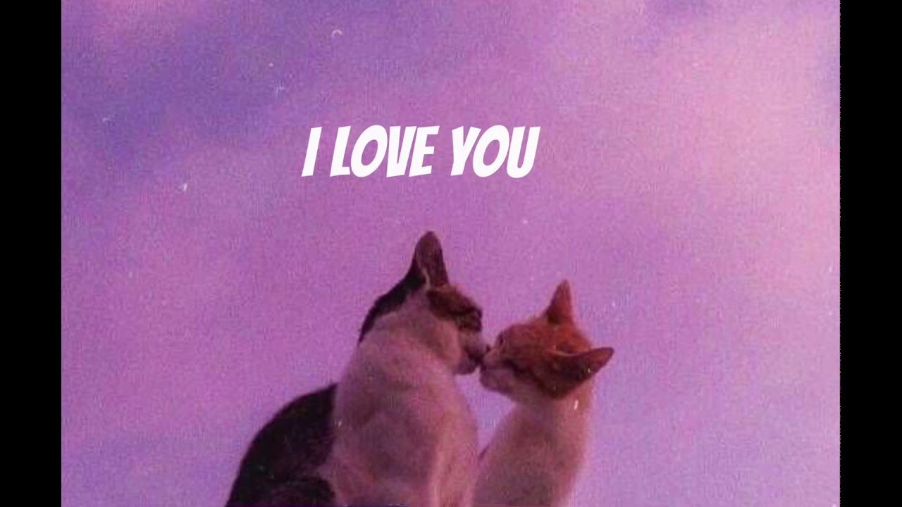 I Love You - Kevin Rater + Lyric Tik Tok Song - YouTube