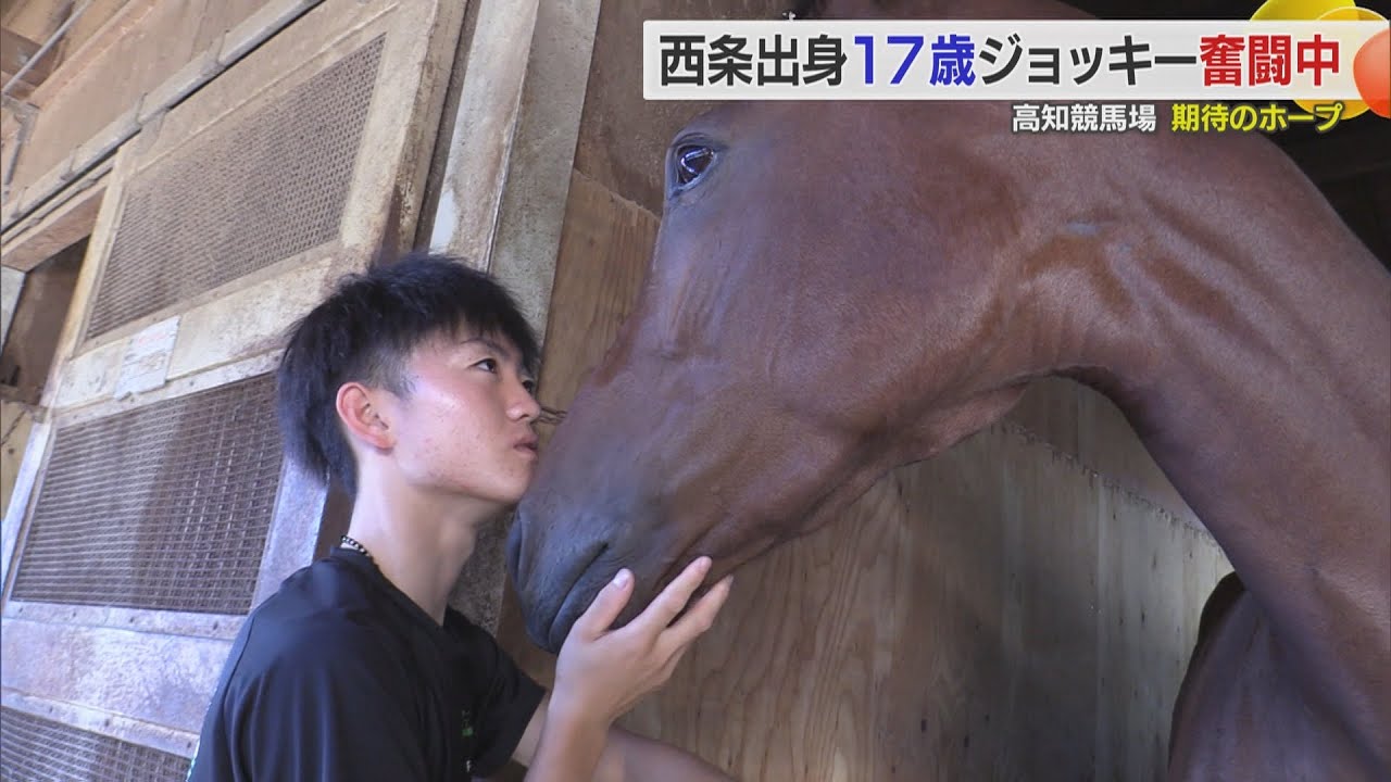 【高知競馬場“期待のホープ”】西条出身・17歳の新人ジョッキー奮闘中