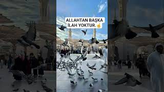 Allahın mucizesi.#namaz #dua #islam #muhammadﷺ #love #ytshorts
