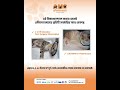 Pet Surgery #animedcare #petlover #surgeryrecovery #petsurgery #pethealth
