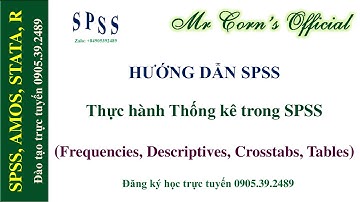 26.10.2021 Hướng dẫn SPSS | Thực hành Thống kê (Frequencies, Descriptives, Crosstabs, Tables)