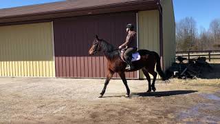 Sam Has Class-Outdoor